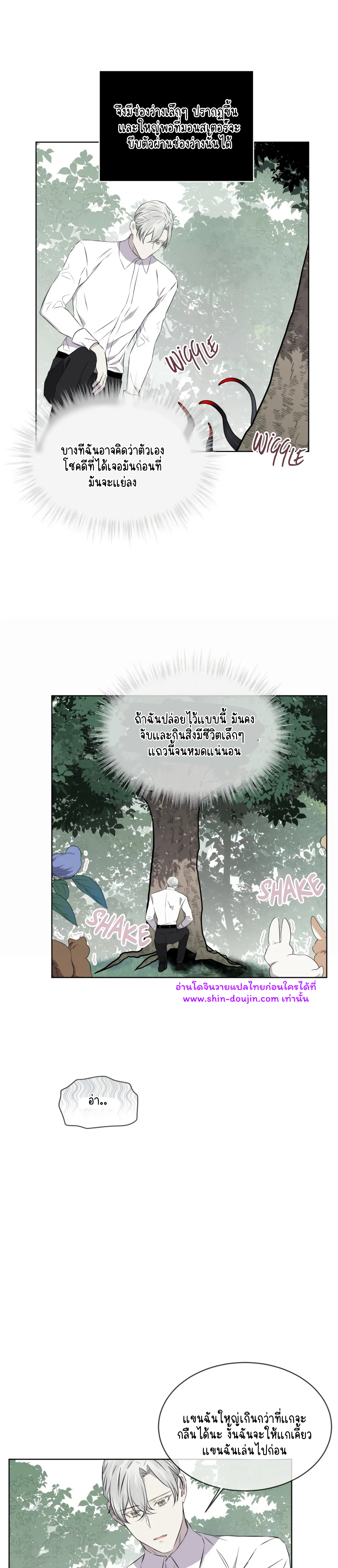 Forest Sea EP 14